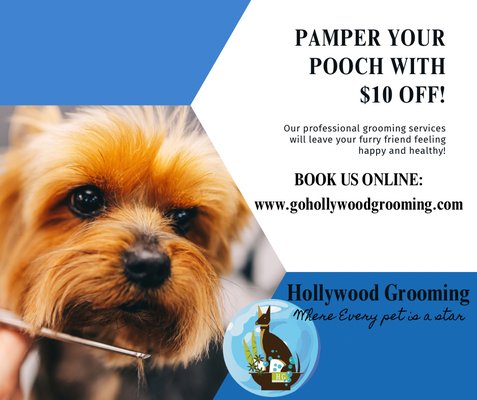 $15 off for your first service - Come to our first in person location in Burbank and receive a $15 off to try our service. Hollywood Grooming has over 23 years of experience in mobile grooming, and now is open in your area. $15 off for your first service - Come to our first in person location in Burbank and receive a $15 off to try our service. Hollywood Grooming has over 23 years of experience in mobile grooming, and now is open in your area.