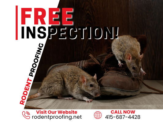 Schedule Your Free Rodent Check Today! - Schedule Your Free Rodent Check Today! Schedule Your Free Rodent Check Today! - Schedule Your Free Rodent Check Today!