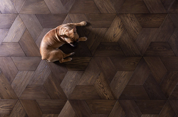 Pet Friendly Hardwood Floors by BERGAMO - Elite Floor Covering Offers Pet Friendly Hardwood Floors by BERGAMO.

The Best Hardwood Flooring for Pet Owners: Durability and Scratch Resistance
As much as we love our pets, they can be tough on our floors. Between sharp claws, the occasional accident, and heavy foot—or paw—traffic, homeowners with pets often find themselves asking: What is the best hardwood flooring for pets? We have the answer. 

Choosing the right flooring isn’t just about looks—it’s about durability, scratch resistance, and ease of maintenance.  Contact Elite Floor Covering to Schedule an On-Site Estimate 310-912-3045