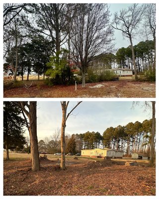 Cart and Barrel Company - We recently completed a tree and brush removal job for a new local business, helping them clear the space to make way for their upcoming projects. Our team efficiently handled the job, removing overgrown trees and dense brush to ensure a clean and safe environment. The business now has a clear, open space that will serve as the perfect foundation for their growth, and we're excited to have been a part of their journey. Cart and Barrel Company - We recently completed a tree and brush removal job for a new local business, helping them clear the space to make way for their upcoming projects. Our team efficiently handled the job, removing overgrown trees and dense brush to ensure a clean and safe environment. The business now has a clear, open space that will serve as the perfect foundation for their growth, and we're excited to have been a part of their journey.