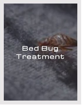 Bed Bug Treatment - Do you think you might need bed bug treatment for your home, hotel, B&B, or other property? Call the experts at BUGCO Pest Control for fast, professional bed bug treatment service. We make the bugs go, and we can make your bed bugs go too!
