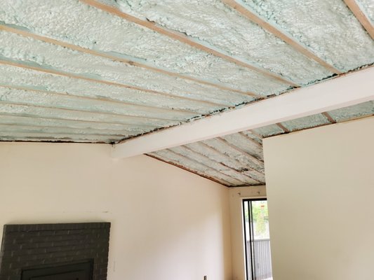 Lynnwood vaulted ceiling upgrade - This upgrade helped solve a couple of problems by achieving the required R-value of R38 in a 2x6 cavity. Also the existing framing and venting was creating a moisture problem that closed cell foam solved easily.