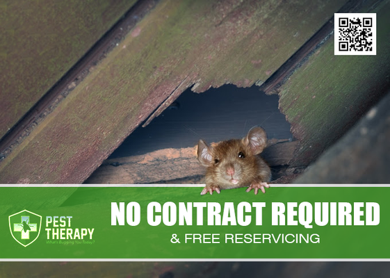 No Contract Required & Free Reservicing - Pest control without a contract can be a great option for those who don't want to be tied down!