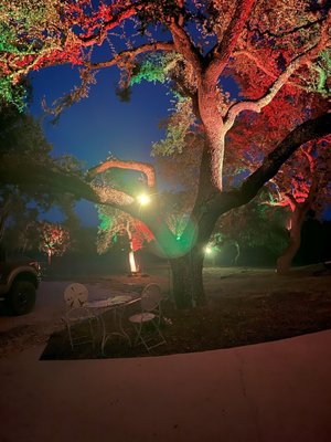 Outdoor Power and Lighting - This was a small part of a project to correct short circuit, upgrade equipment and existing tree lights. Corrected the wiring issues and installed new power supplies for the new tree lighting. Removed the old tree lighting and installed new smart LED tree lighting. Call today! Outdoor Power and Lighting - This was a small part of a project to correct short circuit, upgrade equipment and existing tree lights. Corrected the wiring issues and installed new power supplies for the new tree lighting. Removed the old tree lighting and installed new smart LED tree lighting. Call today!