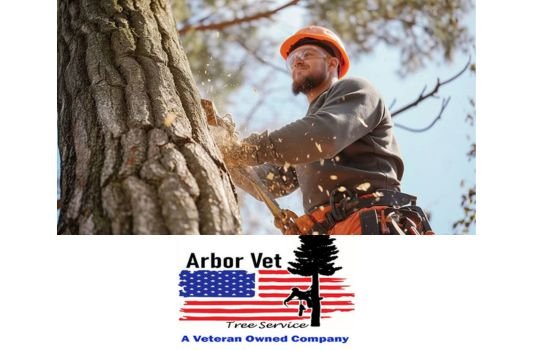 Tree Pruning Services - Why is Tree Pruning Important?
Tree pruning is not just about enhancing the aesthetic appeal of your trees; it goes beyond that. Here are some key reasons why tree pruning is essential:

Promotes tree health: Regular pruning helps eliminate dead, diseased, or damaged branches, preventing the spread of infection or decay to other parts of the tree. By removing these weakened branches, the overall health of the tree is improved.

Encourages growth: Pruning stimulates new growth by directing the tree’s energy towards the remaining branches. This promotes a more robust and well-balanced tree structure.

Improves safety: Overgrown branches can pose a risk to people and property, especially during storms or high winds. Pruning removes hazardous limbs, reducing the chance of accidents or property damage.

Aids in fruit production: Fruit trees benefit greatly from pruning as it enhances air circulation and sunlight exposure, leading to improved fruit quality and higher yields.