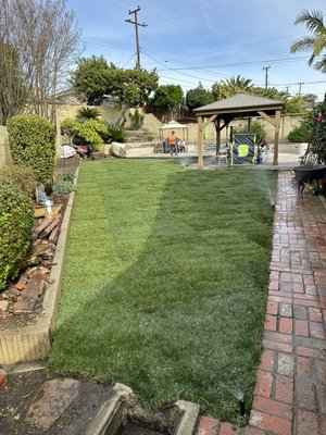 New lawns and sprinklers - This project was done with removing old lawn and prepping soil and adding sprinklers and laying new sod