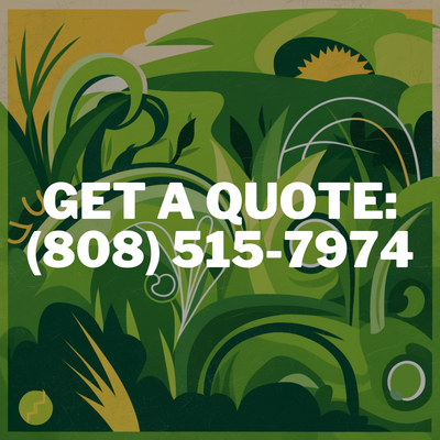 #lawnbeautification in Honolulu, HI | September, 2021 - Our #lawntrimming project in #honoluluhi transformed an overgrown yard into a pristine, lush oasis with meticulous attention to detail. #lawnbeautification in Honolulu, HI | September, 2021 - Our #lawntrimming project in #honoluluhi transformed an overgrown yard into a pristine, lush oasis with meticulous attention to detail.