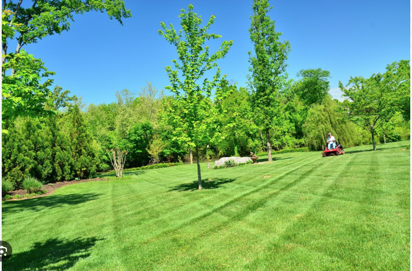 Mowing - Let Fresh Start Yard keep your yard looking its best with professional, reliable mowing.
Affordable rates and dependable service—satisfaction guaranteed!
Call today for your free mowing estimate: (989)306-3812 Mowing - Let Fresh Start Yard keep your yard looking its best with professional, reliable mowing.
Affordable rates and dependable service—satisfaction guaranteed!
Call today for your free mowing estimate: (989)306-3812