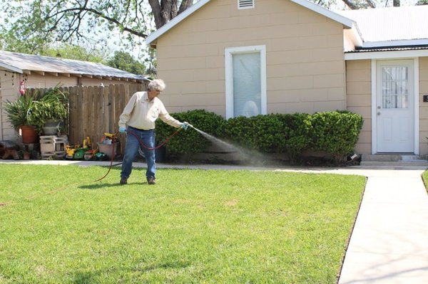 Pest control service for the yards - we do pest control service at a very good price.  we are the most affordable in and around the San Antonio area and 50 miles  Radius around the city