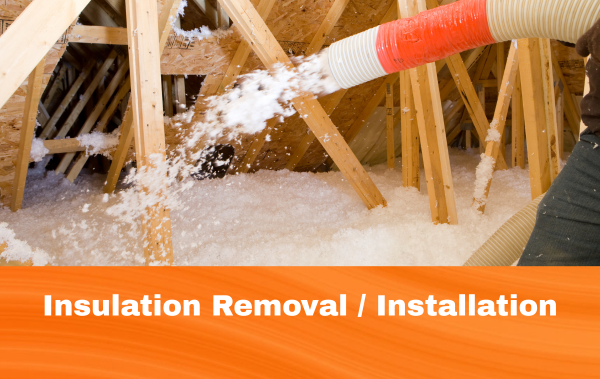 Attic and Crawlspace Insulation - Dust and pollen can build up in the fibers along with mildew, insects, and animal droppings. This can cause an allergic reaction and be quite harmful if you have asthma or respiratory problems. A new and properly installed attic insulation can also lower your heating and air conditioning bills and aids in keeping your home at a comfortable temperature. Attic and Crawlspace Insulation - Dust and pollen can build up in the fibers along with mildew, insects, and animal droppings. This can cause an allergic reaction and be quite harmful if you have asthma or respiratory problems. A new and properly installed attic insulation can also lower your heating and air conditioning bills and aids in keeping your home at a comfortable temperature.