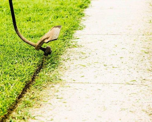 Backup Lawn Guy? We got you covered! - Not to take away from your normal lawnguy, but do you need the Job done now and right? Thought so, call Rendon and Rendon Lawncare now. (512) 297-3990. Backup Lawn Guy? We got you covered! - Not to take away from your normal lawnguy, but do you need the Job done now and right? Thought so, call Rendon and Rendon Lawncare now. (512) 297-3990.