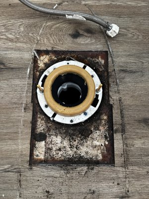 Toilet Flange Replacement - Are you experiencing leaking under your toilet? You may need to replace your toilet flange. Call today for a consultation. Toilet Flange Replacement - Are you experiencing leaking under your toilet? You may need to replace your toilet flange. Call today for a consultation.