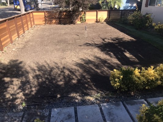 Sod Installation in West Hollywood - Installing (RTF) Tall Fescue and by far, our most installed sod because of its year round growth, self repairing properties, and a deep root system.