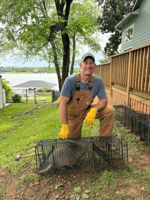 Armadillo Management - Landscaping is an investment of love, some tears and a devotion to sweat equity. You dont have to tolerate your lawn destroyed, flower beds dismantled, expensive foundation repairs or A/C units damaged. Let us work with you to resolve your problem today. Give us a call! Armadillo Management - Landscaping is an investment of love, some tears and a devotion to sweat equity. You dont have to tolerate your lawn destroyed, flower beds dismantled, expensive foundation repairs or A/C units damaged. Let us work with you to resolve your problem today. Give us a call!