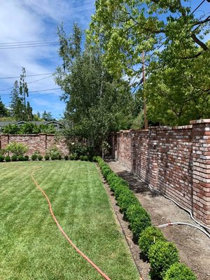 Extending Existing Brick Wall - We extended the existing front wall that runs along the property border, carefully matching the look of the original old, used bricks to maintain a cohesive appearance. In addition to lengthening the wall, we raised the height of the pillars and the wall itself, enhancing both the curb appeal and presence of the property while preserving its classic character. Extending Existing Brick Wall - We extended the existing front wall that runs along the property border, carefully matching the look of the original old, used bricks to maintain a cohesive appearance. In addition to lengthening the wall, we raised the height of the pillars and the wall itself, enhancing both the curb appeal and presence of the property while preserving its classic character.