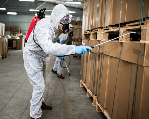 Safeguard Your Business with Professional Help - Protecting your business from pests is crucial for maintaining a clean and hygienic environment, ensuring the safety of your employees and customers, and safeguarding your reputation. Our professional Commercial Pest Control services are tailored to meet the unique needs of businesses across various industries. From restaurants to offices, warehouses to retail spaces, our expert technicians are equipped to handle any pest challenge efficiently and discreetly.
With our comprehensive pest management approach, we not only address existing pest issues but also implement preventative measures to minimize future infestations. Our customized treatment plans are designed to fit your schedule and requirements, causing minimal disruption to your daily operations.
Trust our team to provide you with peace of mind, knowing that your business is in good hands. Keep pests out and productivity in with our reliable and effective commercial pest control solutions. Safeguard Your Business with Professional Help - Protecting your business from pests is crucial for maintaining a clean and hygienic environment, ensuring the safety of your employees and customers, and safeguarding your reputation. Our professional Commercial Pest Control services are tailored to meet the unique needs of businesses across various industries. From restaurants to offices, warehouses to retail spaces, our expert technicians are equipped to handle any pest challenge efficiently and discreetly.
With our comprehensive pest management approach, we not only address existing pest issues but also implement preventative measures to minimize future infestations. Our customized treatment plans are designed to fit your schedule and requirements, causing minimal disruption to your daily operations.
Trust our team to provide you with peace of mind, knowing that your business is in good hands. Keep pests out and productivity in with our reliable and effective commercial pest control solutions.