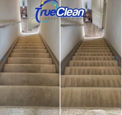 Premier Carpet Cleaning Services - in Charlotte, Ballaynte, Huntersville, Indian Trail, Monroe, Cornelius and Area
Refresh Your Home with True Clean Carpet Cleaning
Experience a Like-New Clean With Our Professional Team
At True Clean Carpet Cleaning, we’re not just in the business of cleaning carpets; we’re committed to transforming your living space into a haven of cleanliness and comfort. With years of experience, we’ve honed our craft to perfection, offering an unmatched level of expertise in the industry.
Our dedicated team of professionals understands that every carpet tells a story. Your carpets endure a lot, from daily foot traffic to accidental spills. That’s why we approach each cleaning job with the utmost care and attention to detail, employing cutting-edge techniques and eco-friendly solutions to ensure a thorough and effective cleaning.

But our commitment goes beyond just removing stains and odors. We’re passionate about creating a healthier home environment for you and your loved ones. By eliminating allergens and bacteria trapped deep within the fibers of your carpets, we help you breathe easier and enjoy a space free from harmful contaminants.

At True Clean, quality is non-negotiable. That’s why we invest in ongoing training and education for our team, staying up-to-date on the latest carpet cleaning technology and techniques advancements.
