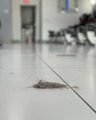 Commercial Cleanings - Commercial Cleanings Commercial Cleanings - Commercial Cleanings
