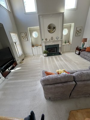 Carpet Cleans/Water Stain, Pet Stain and Odor removal:) - Some carpet cleans and stain removals we did that came out amazing:) Carpet Cleans/Water Stain, Pet Stain and Odor removal:) - Some carpet cleans and stain removals we did that came out amazing:)