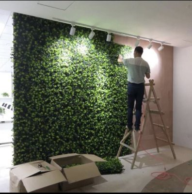 IVYWALL Panels - Beautiful boxwood wall panels used for decoration in interior or exterior including fences exc. Now on Sale for this month of November!!