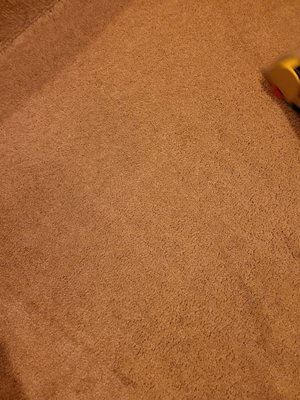 Carpet Cleaning - "J Cleaning Solution, your top choice for carpet cleaning on Yelp. Our expert team delivers exceptional results, rejuvenating your carpets with eco-friendly solutions. Experience spotless, fresh, and vibrant carpets today!"
