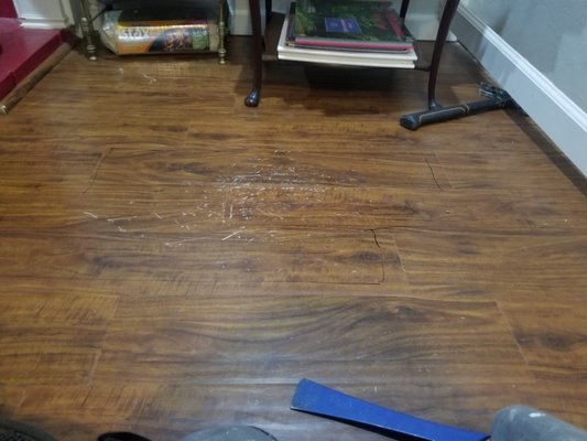 Laminate flooring repair - This customer had some deep scratches from a chair that was repeatedly damaging the flooring. luckily she saved a box of this discontinued flooring from 10 years ago! the damaged boards were carefully removed, and new replacements were fitted in thier place. Just like it never happened!