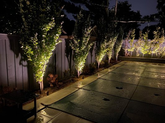 Landscape lighting Installation- project Burlington - Landscape lighting Installation using our top of the line solid cast brass led landscape lighting fixtures with manufacturer life time warranty!