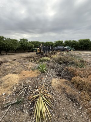 Brush debris removal - BIG Brush Debris removal Brush debris removal - BIG Brush Debris removal
