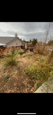 My 1st Landscape vegetation removal project - This was my 1st ever project done with loppers and a hula ho. My 1st Landscape vegetation removal project - This was my 1st ever project done with loppers and a hula ho.