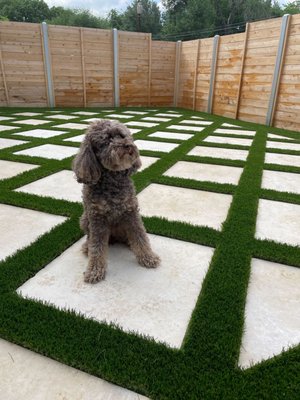 Turf w/ Pavers, Gravel, & Rock - Pavers, gravel, and rock can give your turf lawn a beautiful and unique look! Whether you've had a design in mind for years or you need some help deciding what to do, our team can help! Contact us today for a FREE ESTIMATE! Turf w/ Pavers, Gravel, & Rock - Pavers, gravel, and rock can give your turf lawn a beautiful and unique look! Whether you've had a design in mind for years or you need some help deciding what to do, our team can help! Contact us today for a FREE ESTIMATE!