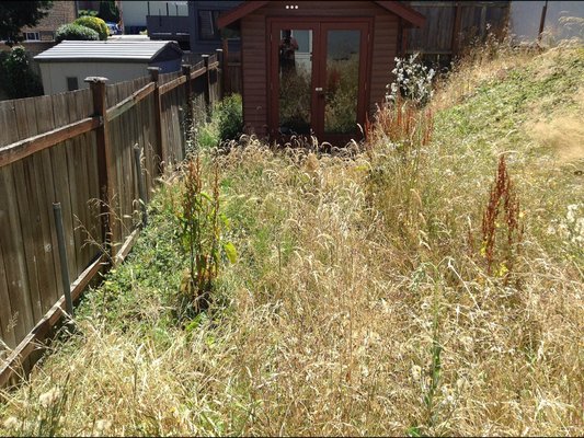 Yard clean up and landscaping - Yard clean up and landscaping Yard clean up and landscaping - Yard clean up and landscaping