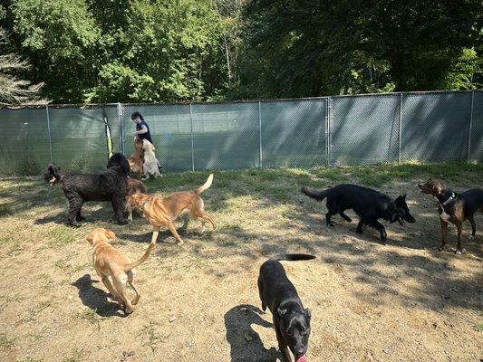 Tolland’s Top Pet Care Facility - Offering daycare and boarding. Climate controlled. 3 big yards. One large covered yard. Boarding is 44$/day. Daycare is 30$/day or 20$/ <5 hours and daycare included in boarding price. Always monitored by our employees.