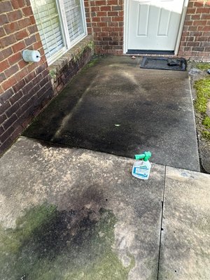 Driveway Cleaning - Today we completed a full driveway cleaning for a client who was dealing with years of built-up dirt, algae, and oil stains. Using high-pressure washing and eco-friendly cleaning solutions, we restored the surface to a much cleaner, brighter look. The results were immediate — major curb appeal boost and a safer, slip-free surface. Another satisfied customer who was blown away by the transformation! Driveway Cleaning - Today we completed a full driveway cleaning for a client who was dealing with years of built-up dirt, algae, and oil stains. Using high-pressure washing and eco-friendly cleaning solutions, we restored the surface to a much cleaner, brighter look. The results were immediate — major curb appeal boost and a safer, slip-free surface. Another satisfied customer who was blown away by the transformation!