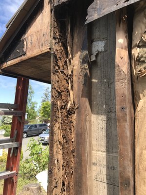Damaged structure, found under old siding - This was a rot repair, damage was found after old siding was removed. Damaged structure, found under old siding - This was a rot repair, damage was found after old siding was removed.