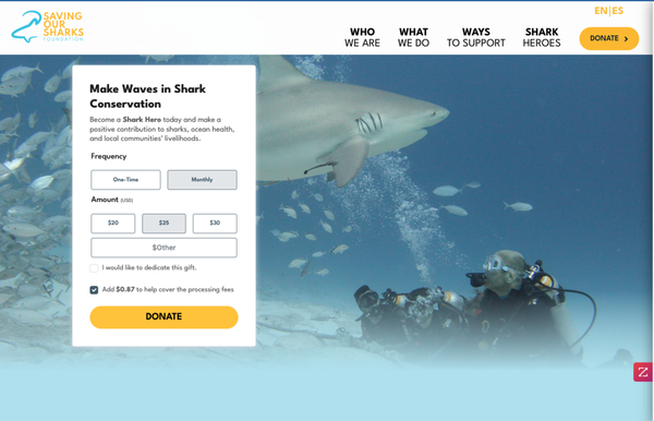 Saving our Sharks Foundation - Non profit organization. Website design and development. Saving our Sharks Foundation - Non profit organization. Website design and development.