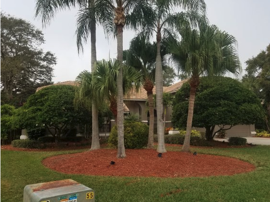A Few of our Projects at James Peck Landscape - Trust in our Landscaping Company in Palm Harbor to help you with your Landscape Design, adding Curb Appeal, creating a Backyard Oasis for entertaining, and more. Contact us for a complete Portfolio. A Few of our Projects at James Peck Landscape - Trust in our Landscaping Company in Palm Harbor to help you with your Landscape Design, adding Curb Appeal, creating a Backyard Oasis for entertaining, and more. Contact us for a complete Portfolio.
