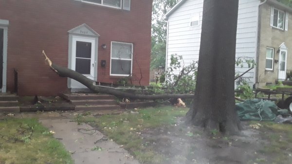 Cleaning up from the Storm! - Thank you for your future business!