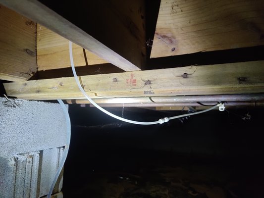 The Mystery Leak! - One of our customer's called us concerned about a high water bill they were unsure about. One quick peak in the crawlspace revealed the ice maker line had been pulled down and chewed up by an animal! Once the animal was removed from the crawlspace we were able to repair the line and raise it to prevent any more unwanted guests from damaging it in the future!