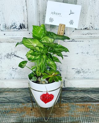 Plants Make People Happy - Plants make people happy Plants Make People Happy - Plants make people happy