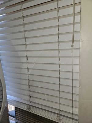 Blind Cleaning - Blind replacement can be costly. With the right tools, we can get them like new again. Give us a call for your blind cleaning needs! Blind Cleaning - Blind replacement can be costly. With the right tools, we can get them like new again. Give us a call for your blind cleaning needs!