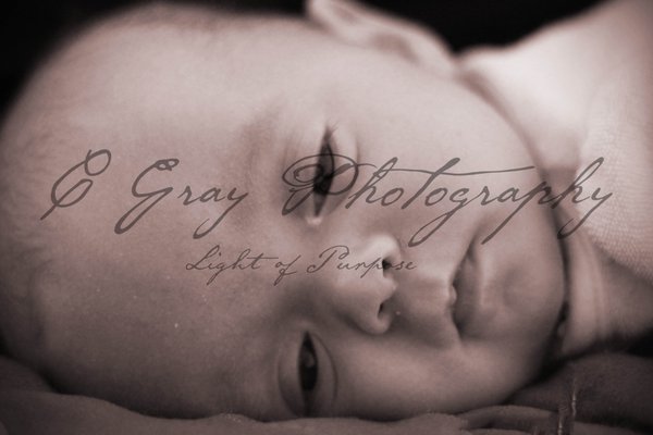 Newborns - Beautiful newborns