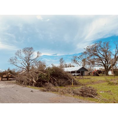Cut down tree, logging and clearing - Don't worry, the process may look messy, but at the end it will be beautiful! Cut down tree, logging and clearing - Don't worry, the process may look messy, but at the end it will be beautiful!