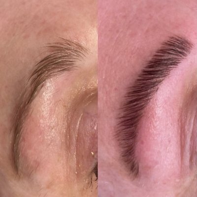 Eyebrow Tint, Wax, and Lift - Eyebrow Tint, Wax, and Lift Eyebrow Tint, Wax, and Lift - Eyebrow Tint, Wax, and Lift