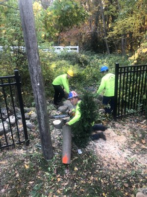 24 Hour Emergency Tree Removal - This project was due to high winds and an emergency call was made due downed  fence, while we were there customer also wanted other trees cut.  He wanted to keep wood and shavings because he had turkeys and chickens on property. Power cables we also present on property near trees removed.