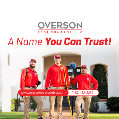 For Visiting - Overson Pest Control is a trusted name in Arizona, known for delivering top-notch pest control solutions that cater to the diverse needs of both residential and commercial clients. With a strong commitment to safety and effectiveness, Overson offers comprehensive services, including termite inspection, termite treatment, scorpion control, bed bug eradication, and rodent removal. As one of the leading termite companies in the region, they utilize advanced methods and products to provide long-lasting protection against pests while ensuring the well-being of your family, pets, and property.

Overson Pest Control stands out among pest control companies near me due to their personalized approach. They understand that every pest problem is unique, which is why they offer tailored solutions that address specific issues in your home or business. Whether you’re dealing with a persistent bed bug problem or need a thorough termite inspection, their licensed and highly trained technicians are equipped with the knowledge and tools to handle it efficiently.

Termite damage can be a homeowner’s worst nightmare, but with Overson Pest Control’s specialized termite treatment options, you can rest easy knowing that your property is in good hands. They employ state-of-the-art techniques to detect, treat, and prevent termite infestations, protecting your home from costly damage. As one of the most reputable termite companies in Arizona, Overson’s termite inspection services are thorough, ensuring no hidden threats are left unchecked.

Bed bugs are another common issue in Arizona, and Overson Pest Control is well-equipped to handle even the most stubborn infestations. Using cutting-edge pest control solutions, they not only eliminate bed bugs but also offer preventive measures to keep them from returning. Their approach is both thorough and discreet, ensuring minimal disruption to your daily life.

In addition to termite treatment and bed bug removal, Overson Pest Control also specializes in scorpion control, a crucial service in Arizona where scorpions are a common concern. Their experts use safe and effective methods to manage scorpion populations, ensuring that your home remains a safe and comfortable environment.

Overson’s reputation as one of the top pest control companies near me is further solidified by their dedication to customer satisfaction. They offer flexible service plans tailored to fit your needs and budget, making it easier than ever to maintain a pest-free home. Their team is always available to answer questions and provide advice, ensuring that you feel informed and confident in the pest control solutions they provide.

For businesses, Overson Pest Control offers commercial pest management services designed to protect your property and reputation. They understand the importance of maintaining a clean and pest-free environment for your employees and customers, which is why they offer customized plans that address the specific needs of your industry. Whether you run a restaurant, a retail store, or an office, Overson’s pest control solutions are designed to keep your business operating smoothly.

What sets Overson Pest Control apart from other termite companies and pest control services in the area is their commitment to environmentally responsible practices. They use eco-friendly products whenever possible and implement strategies that minimize the impact on the environment while still delivering effective results. This approach not only protects your home and family but also contributes to a healthier planet.

Their website is a valuable resource for homeowners and business owners alike, offering detailed information about their services, including termite inspection and treatment, bed bug removal, and general pest control solutions. You can easily schedule a service, request a free quote, or learn more about common pests in the Arizona area. The website also features testimonials from satisfied customers, highlighting the effectiveness and reliability of Overson’s services.

Overson Pest Control’s long-standing presence in the Arizona community, combined with their expertise and dedication to customer service, makes them a top choice for anyone looking for reliable pest control companies near me. Whether you’re dealing with termites, bed bugs, scorpions, or any other pests, you can trust Overson to provide the solutions you need to keep your home or business safe and pest-free.

In conclusion, Overson Pest Control is your go-to provider for all things related to pest management in Arizona. Their comprehensive services, including termite treatment, bed bug eradication, and general pest control, are designed to meet the highest standards of quality and safety. By choosing Overson, you’re not only protecting your property from pests but also investing in the long-term health and comfort of your home or business.

For more information or to schedule a service, visit their website at www.oversonpestcontrol.com