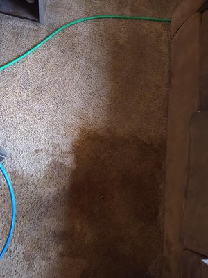 Residential cleaning - We offer residential carpet cleaning with a hot water extraction and three step process. We work hard to keep our prices low and ensure we are thorough in our work. Residential cleaning - We offer residential carpet cleaning with a hot water extraction and three step process. We work hard to keep our prices low and ensure we are thorough in our work.