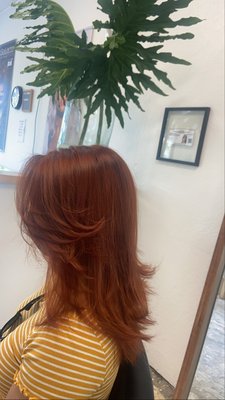 Change of look to one color. - This client came to get a new look, changing from black hair with blond ends (two colors) to one copper color. Change of look to one color. - This client came to get a new look, changing from black hair with blond ends (two colors) to one copper color.