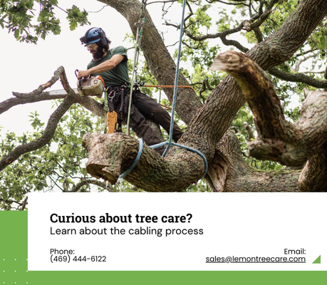 Emergency Services - When trees or branches endanger life or property, our team responds promptly, prioritizing safety above all else. With our reliable emergency removal service, you can rest easy knowing the threat is swiftly dealt with. Call us now!