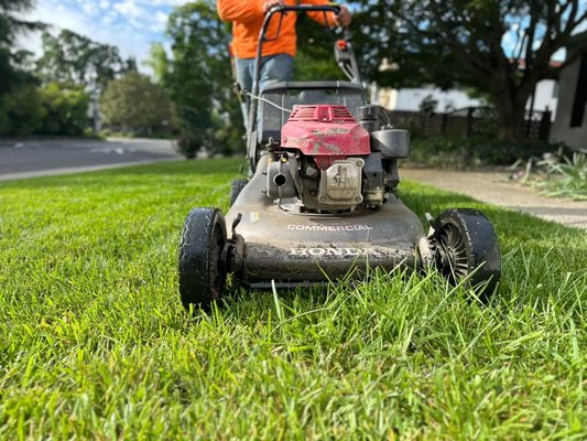 Lawn Maintenance - Mow, trim, prune, and full lawn care services. Lawn Maintenance - Mow, trim, prune, and full lawn care services.