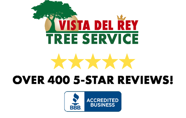 5-Star Rated Tree Service Company - At Vista Del Rey Tree Services, we take pride in providing top-notch tree care services to our valued customers in North County, San Diego and are proud to have crossed over 400 5-Star Reviews! 5-Star Rated Tree Service Company - At Vista Del Rey Tree Services, we take pride in providing top-notch tree care services to our valued customers in North County, San Diego and are proud to have crossed over 400 5-Star Reviews!